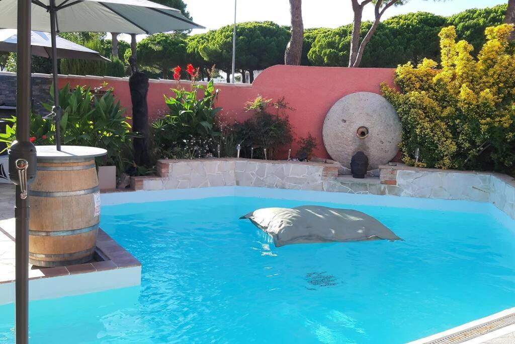 Hebergement Chambre D'Hotes Grau Du Roi Mas Des Marines Piscine Adult Only Le Grau-du-Roi Buitenkant foto